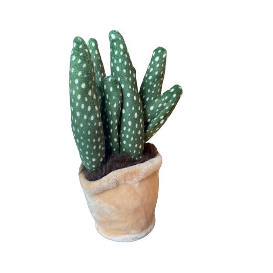 Take Me Home Plysjplante i Potte – søt myk kaktus eller sukkulent i potte, 12–17 cm, 3 varianter
