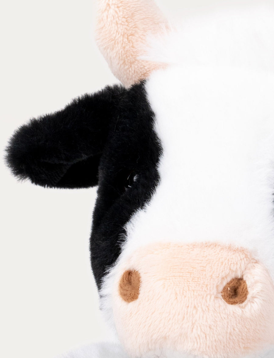 Teddy Farm liggende ku