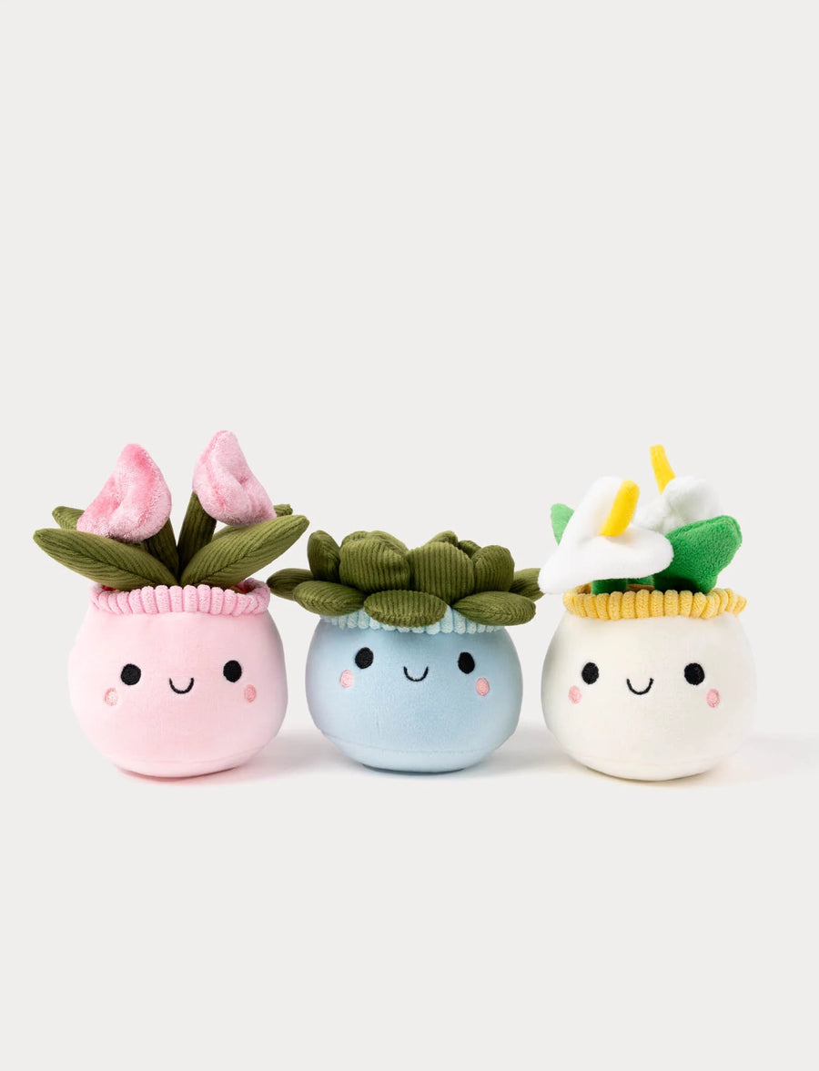 Teddykompaniet Teddy Flowers Plysjblomst – samling av alle tre varianter i potte, 15 cm