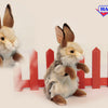 Hansa Creation | Bunny Sitting | Brun/Hvit | 35 cm - Bamsedyra AS