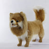 Hansa Creation Pomeranian Stående – naturtro oransje Pomeranian hund plysj stående, 65 cm