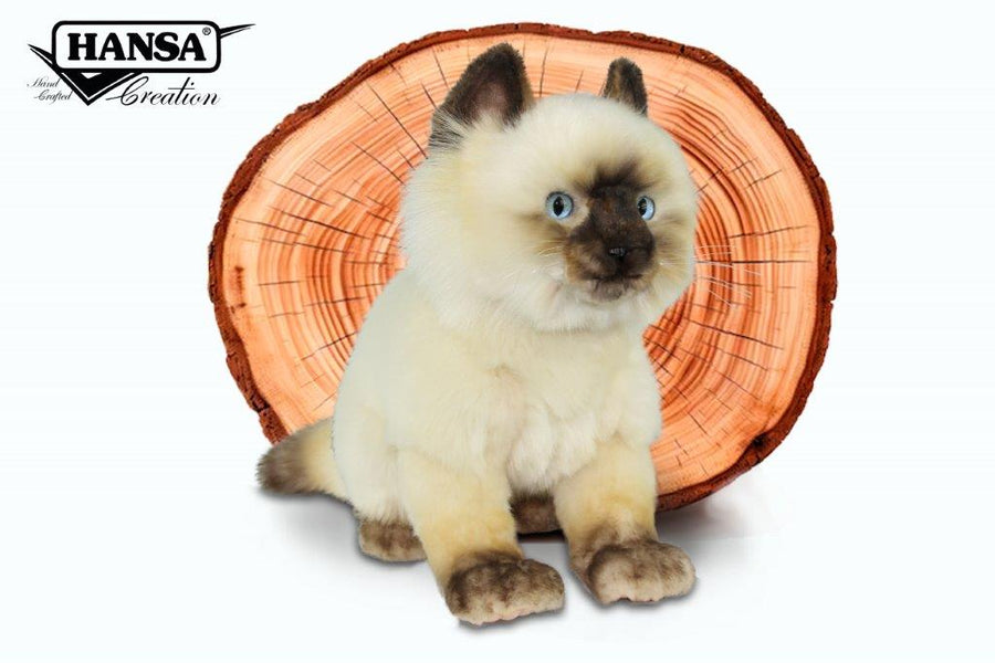 Hansa Creation | Ragdoll Cat Sitting | Hvit | 35 cm - Bamsedyra AS