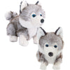 Baby Husky (15cm)