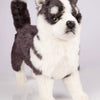 Hansa Creation Husky Valp Stående – naturtro grå og hvit Siberian Husky valp plysj, 43 cm