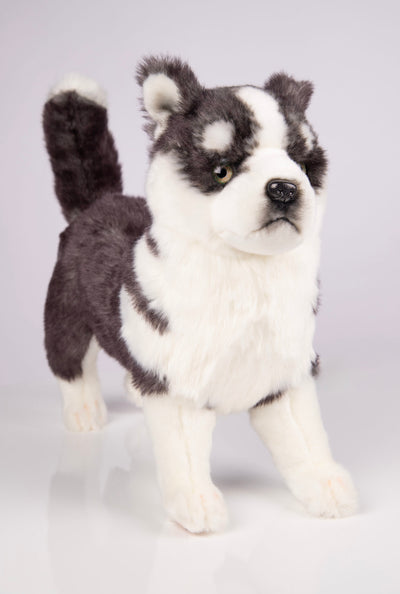 Hansa Creation Husky Valp Stående – naturtro grå og hvit Siberian Husky valp plysj, 43 cm