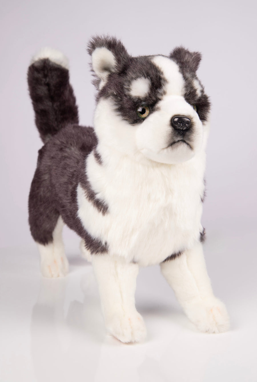 Hansa Creation Husky Valp Stående – naturtro grå og hvit Siberian Husky valp plysj, 43 cm