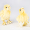 Hansa Creation | Kyckling | Gul | ca 12 cm