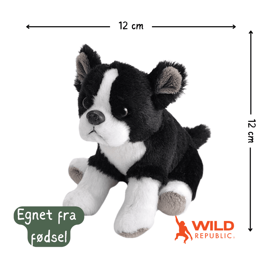 Wild Republic Pocketkins Eco Hund Kosedyr – samling av alle hundekosedyr-varianter
