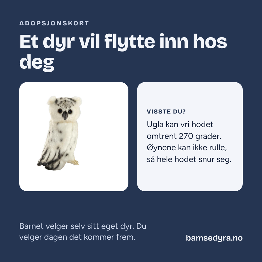Adopsjonskort med snøugle – gavekort på kosedyr