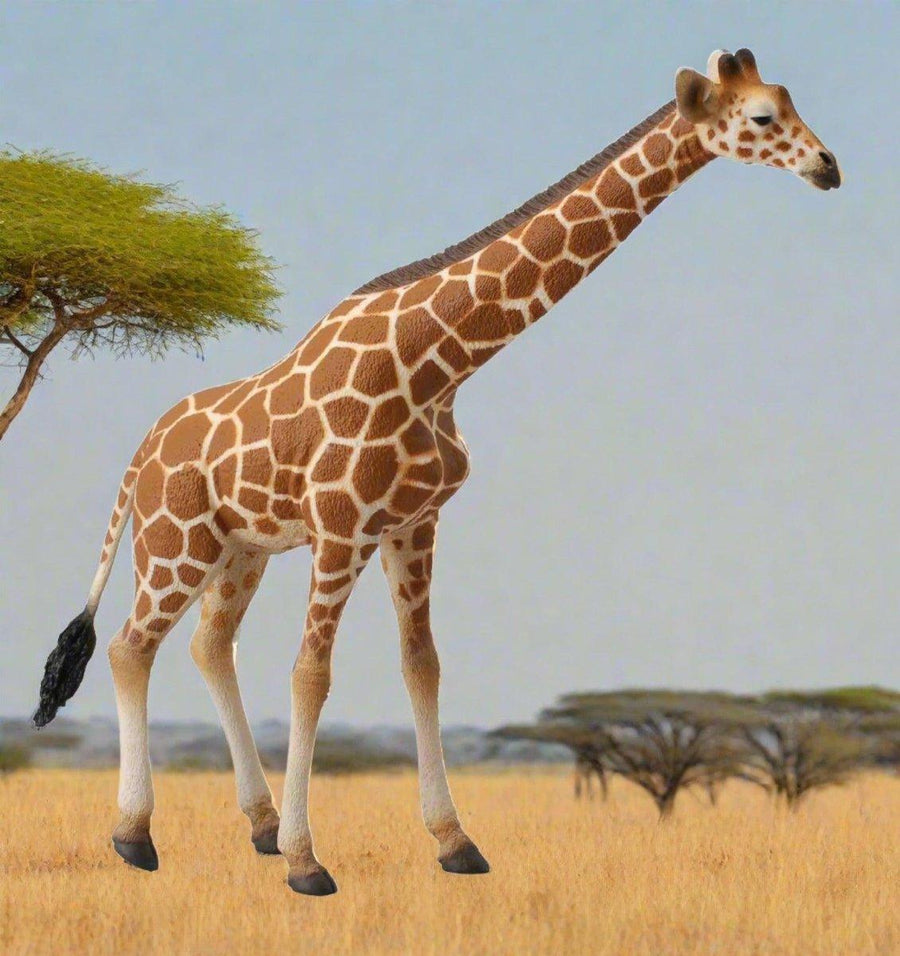 CollectA Sjiraff Figur – naturtro sjiraff med karakteristiske flekker og lang hals