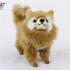 Hansa Creation Pomeranian Hund – naturtro oransje og hvit Pomeranian plysj med buskete pels, 23 cm