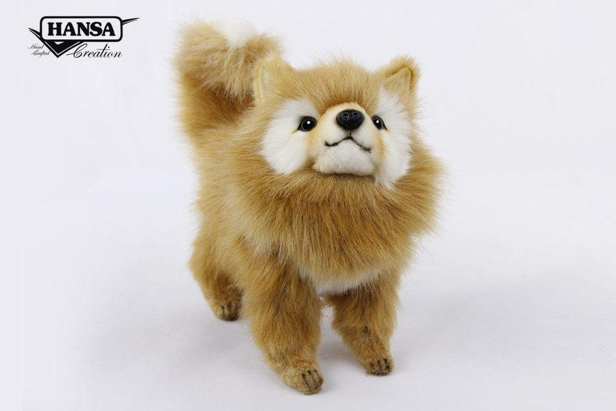 Hansa Creation Pomeranian Hund – naturtro oransje og hvit Pomeranian plysj med buskete pels, 23 cm