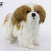 Hansa Creation Shih Tzu – naturtro hvit og brun Shih Tzu hundebamse med lang bølget pels