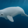 CollectA Beluga Hval Baby Figur – naturtro beluga-hvalbaby figur