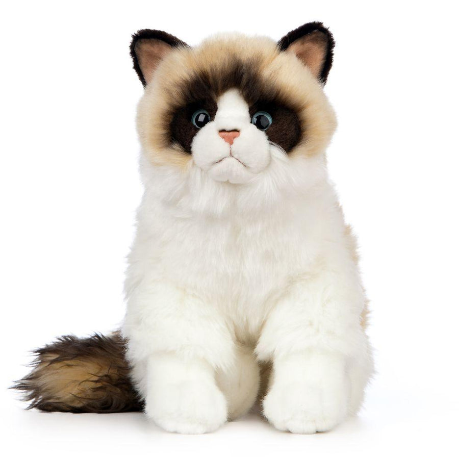 Living Nature Ragdoll Katt Kosedyr – nærbilde av ansikt med rolig og vennlig uttrykk, 30 cm