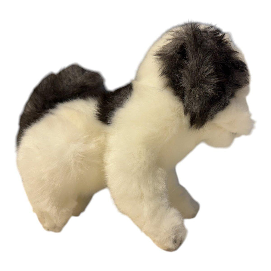 Hansa Creation Shih Tzu Teacup bakfra – hvit og brun lang pels Shih Tzu plysj