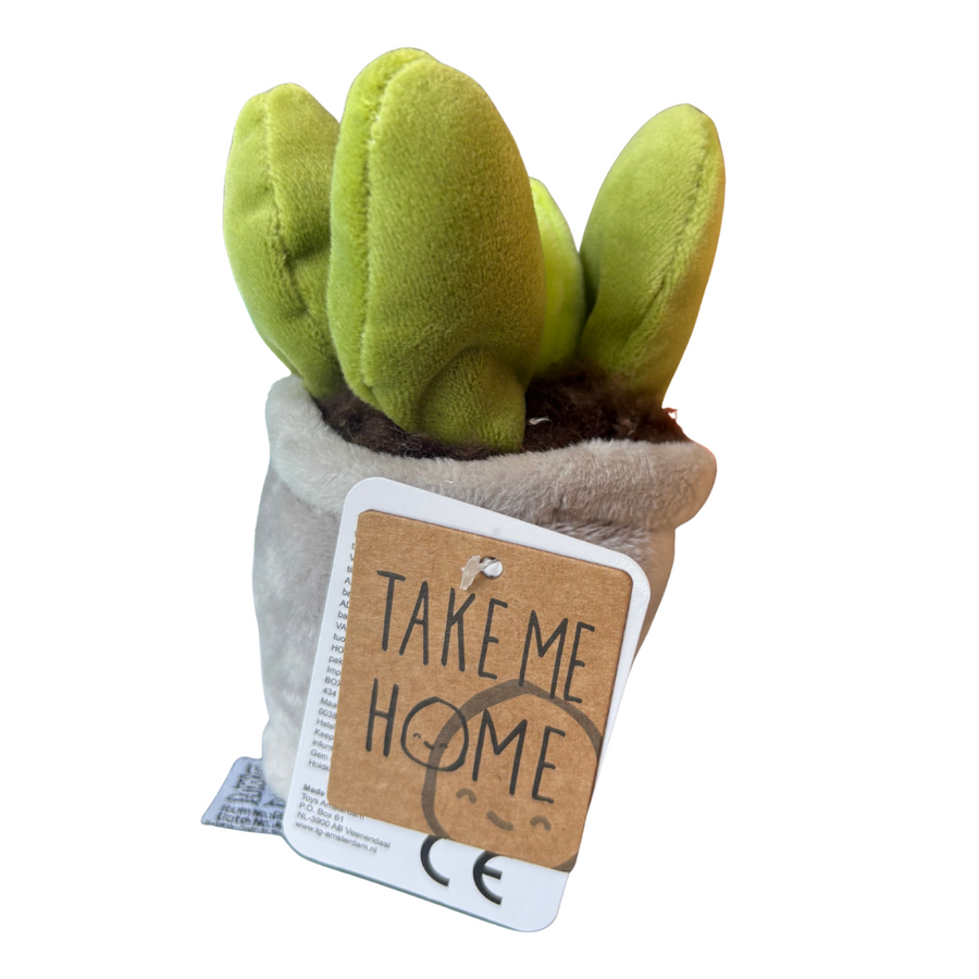 Plysjplante i potte | Take Me Home Feature - Bamsedyra AS