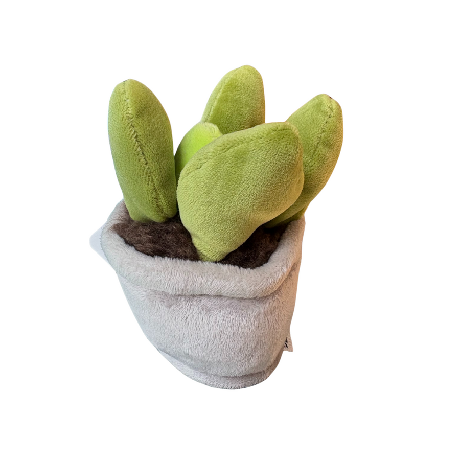 Plysjplante i potte | Take Me Home Angle - Bamsedyra AS