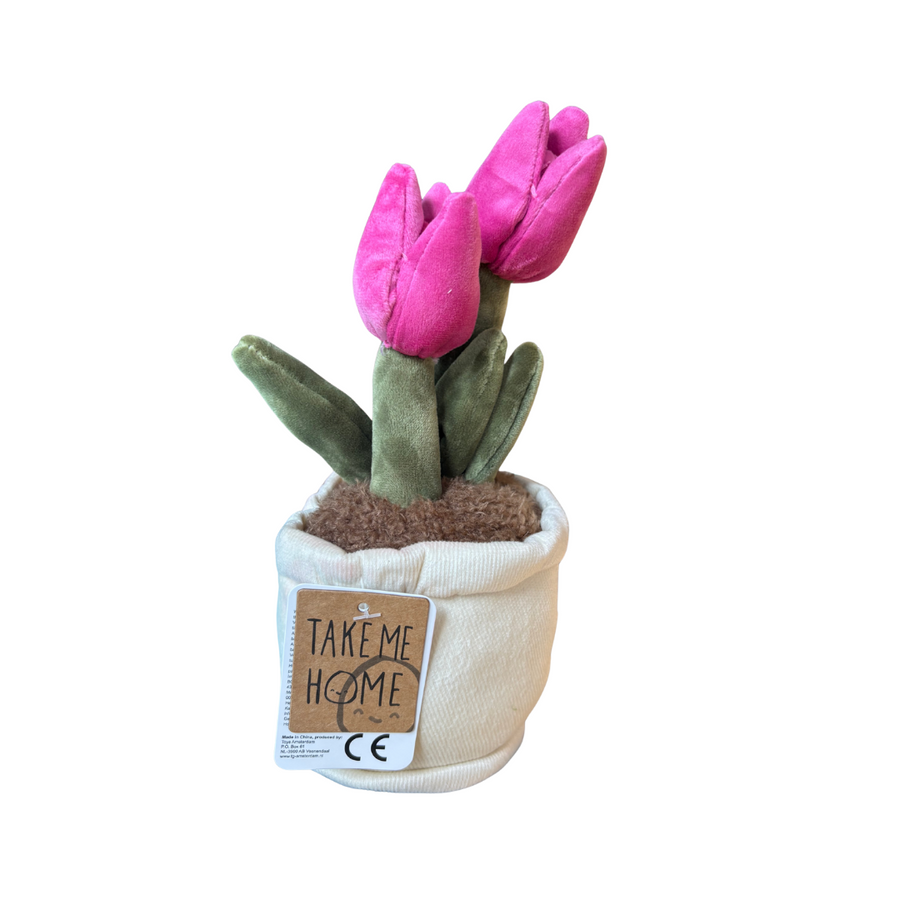 Plysjtulipan i potte | Take Me Home Side View - Bamsedyra AS