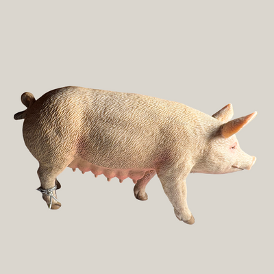 CollectA Purke Figur – naturtro purke figur