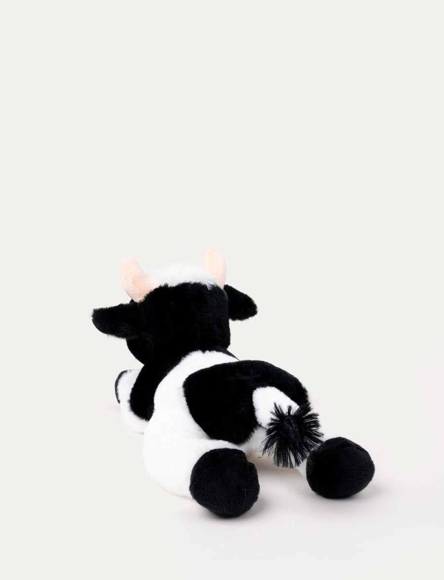 Teddy Farm liggende ku