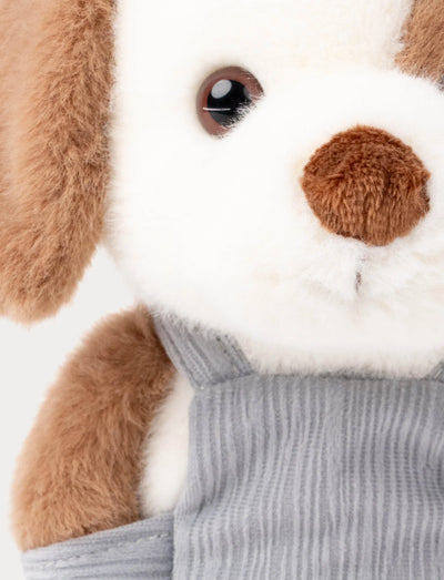 Teddykompaniet Hund med Snekkerbukse Kosedyr – myk liten hund med vennlig uttrykk og søte snekkerbukser, 22 cm