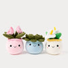 Teddykompaniet Teddy Flowers Plysjblomst – samling av alle tre varianter i potte, 15 cm