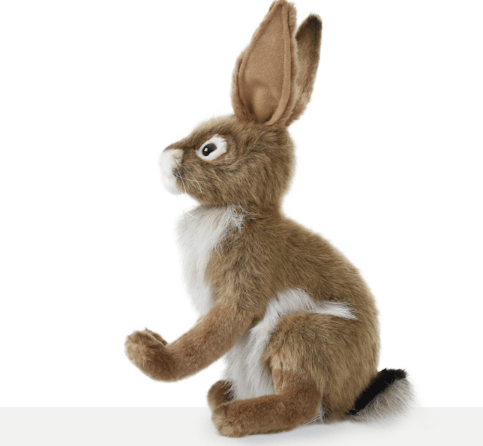 Hansa Creation Jack Rabbit detalj – nærbilde av broderte øyne og brun og hvit pels