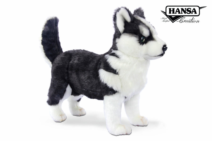 Hansa Creation Husky Valp Stående sett fra siden – grå og hvit husky plysj med blå øyne