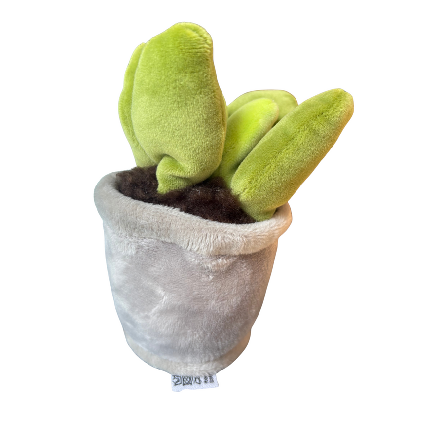 Plysjplante i potte | Take Me Home Detail - Bamsedyra AS