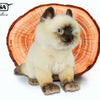 Hansa Creation | Ragdoll Cat Sitting | Hvit | 35 cm - Bamsedyra AS