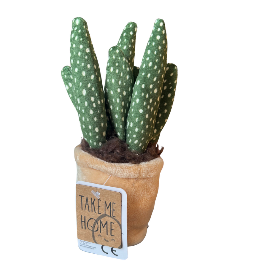 Take Me Home Plysjplante i Potte – søt myk kaktus eller sukkulent i potte, 12–17 cm, 3 varianter