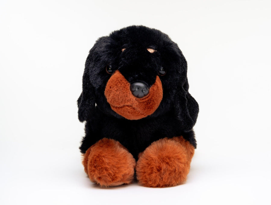 Hilda Labben Dachshundbamse – sidevisning av myk dachshund-kosedyr