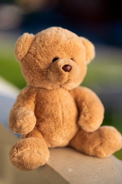 Hilda Rugge Teddybamse – koselig myk teddybjørn