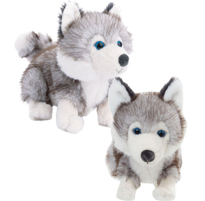 Baby Husky (15cm)