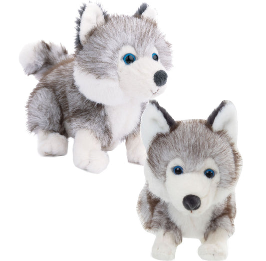 Baby Husky (15cm)