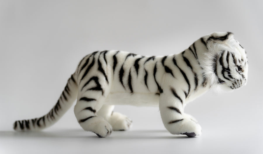 Hansa Creation Hvit Amurtiger detalj – nærbilde av blå øyne og hvit stripete pels
