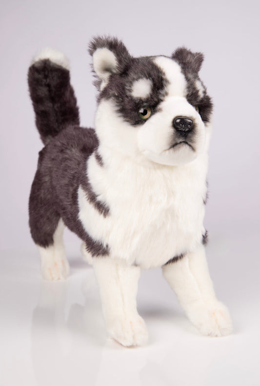 Hansa Creation Husky Valp Stående – naturtro grå og hvit Siberian Husky valp plysj, 43 cm