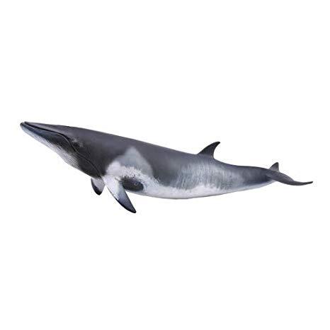 CollectA Vågehval Figur – naturtro vågehval figur