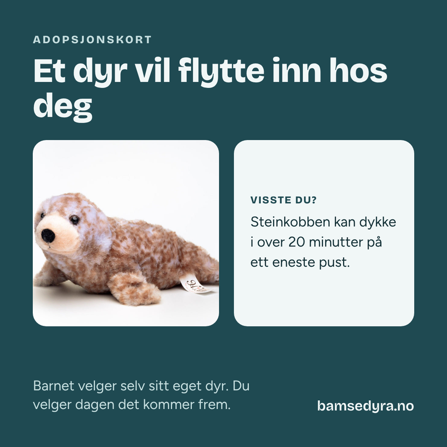 Adopsjonskort med sel – gavekort på kosedyr
