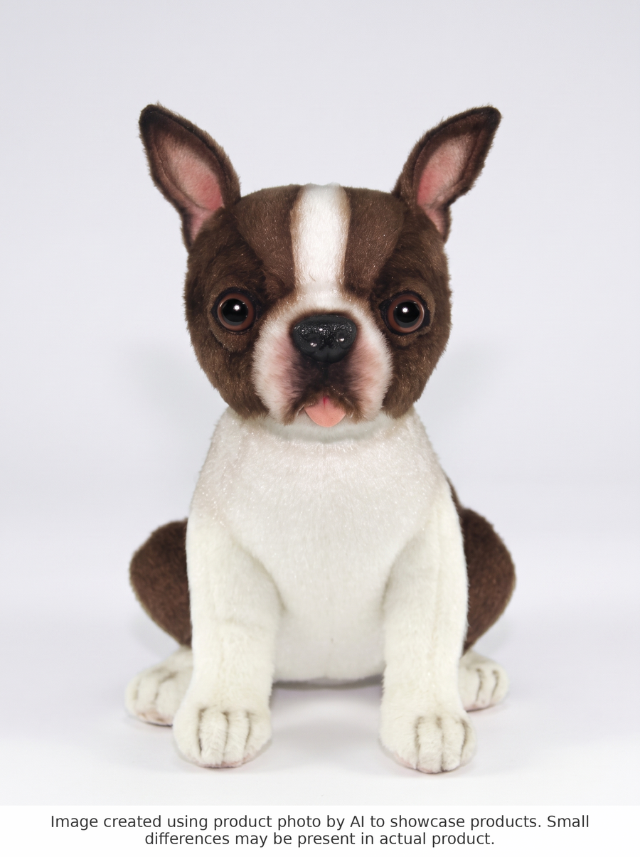 Boston Terrier Kosedyr Hansa Creation - AI-generated studio photo, front angle