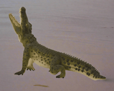 CollectA Krokodillefigur – naturtro krokodille med detaljerte skjell