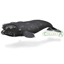 CollectA Retthval Figur – naturtro retthval figur med massiv kropp