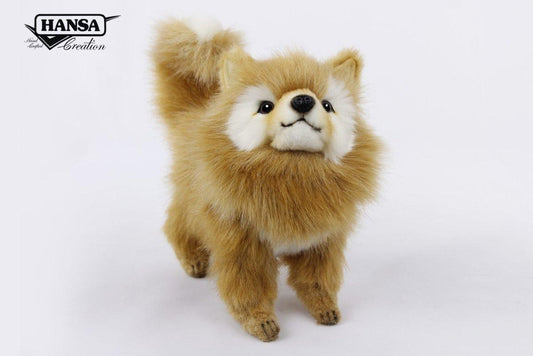 Hansa Creation Pomeranian Hund – naturtro oransje og hvit Pomeranian plysj med buskete pels, 23 cm