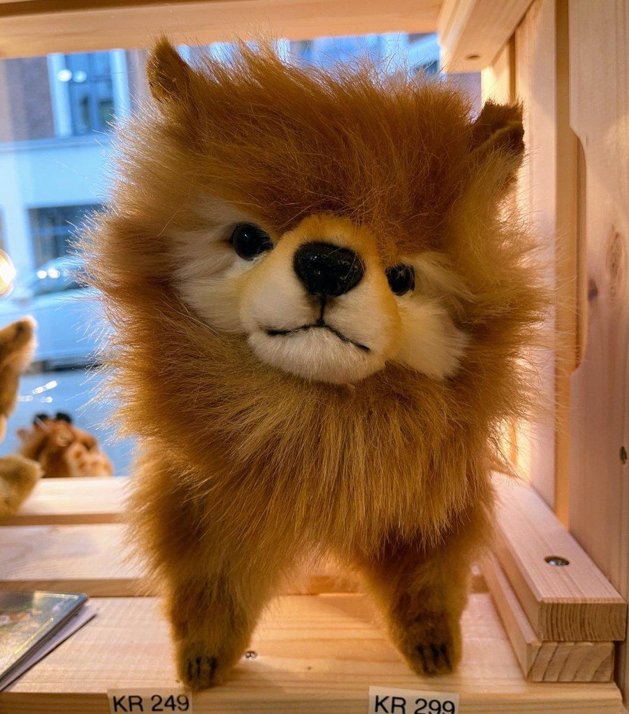 Hansa Creation Pomeranian Hund sett fra siden – oransje fluffy Pomeranian plysj