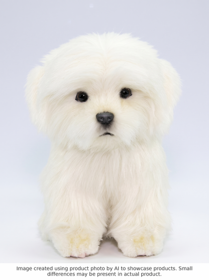 Malteserhund Kosedyr Hansa Creation - AI-generated studio photo, front angle