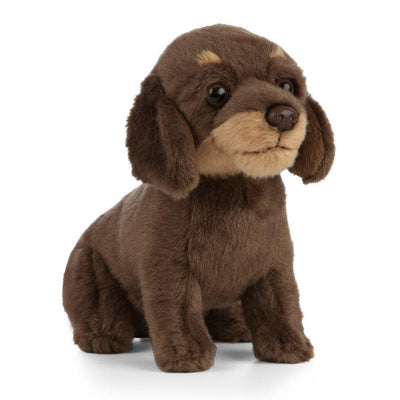 Living Nature Dachshund Valp Kosedyr – naturtro dachshundvalp med lang kropp og store uttrykksfulle øyne