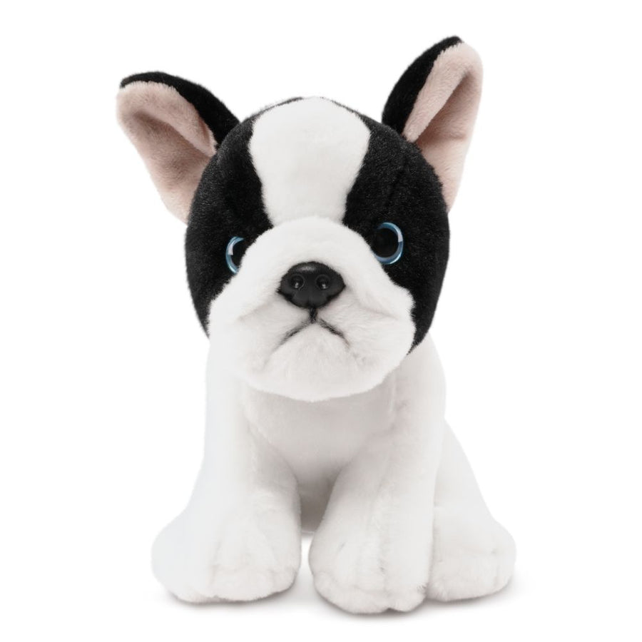 Fransk Bulldog Valp Kosedyr Full View | Living Nature - Bamsedyra AS